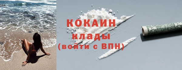 сатива Надым