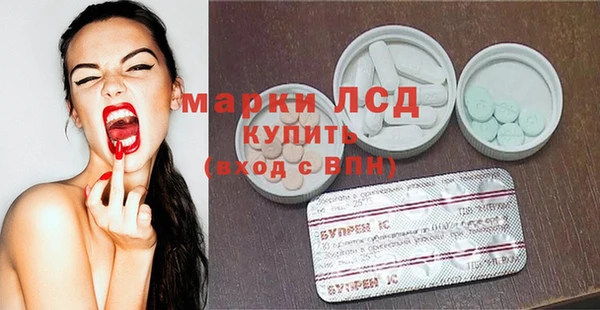 сатива Надым