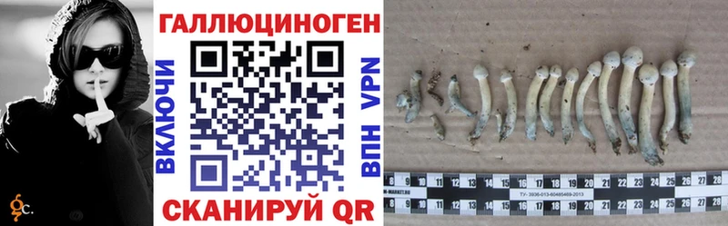 Галлюциногенные грибы Psilocybe  darknet клад  Мирный 