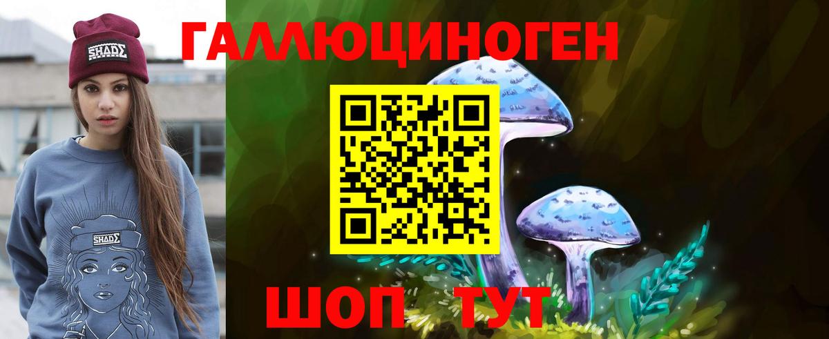 Мирный  Псилоцибиновые грибы мицелий  Вход с VPN 